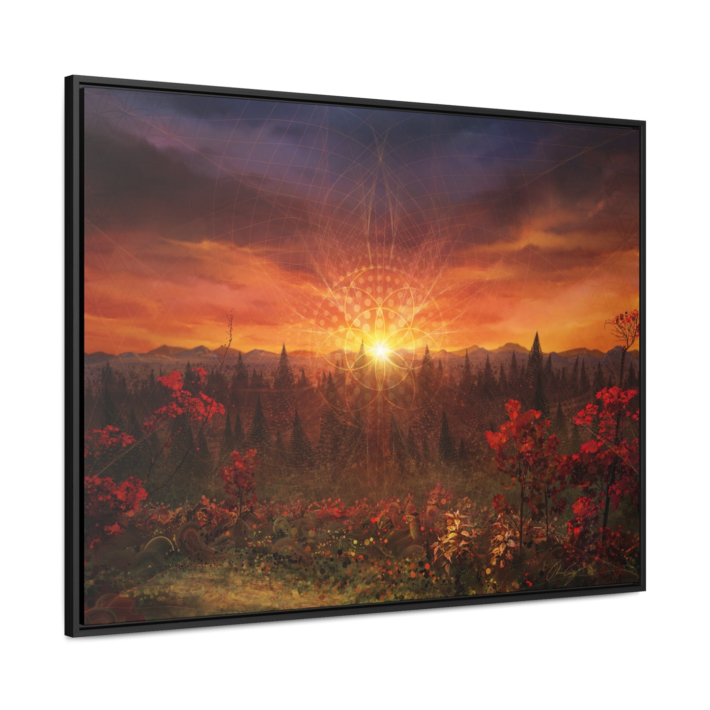 Solar Memory // Canvas Print