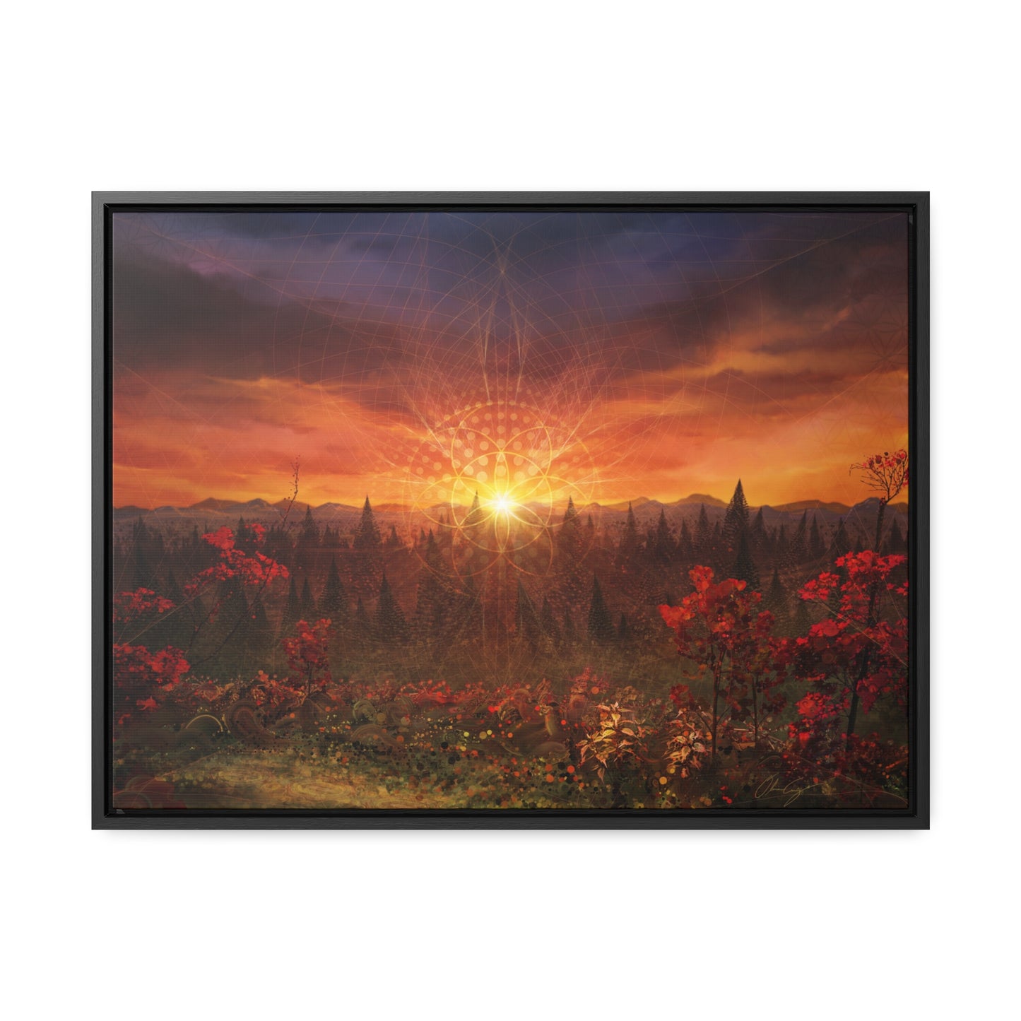 Solar Memory // Canvas Print