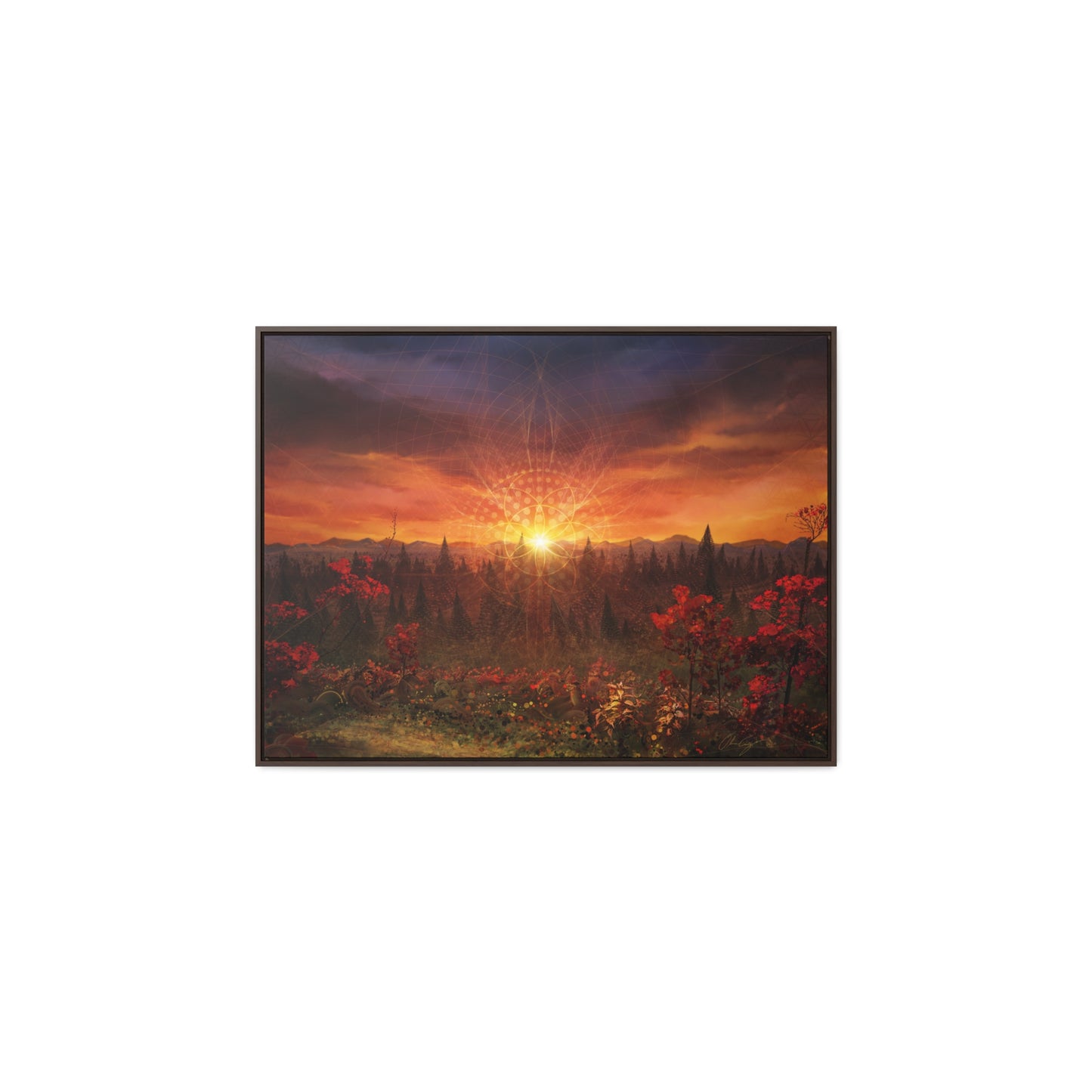 Solar Memory // Canvas Print